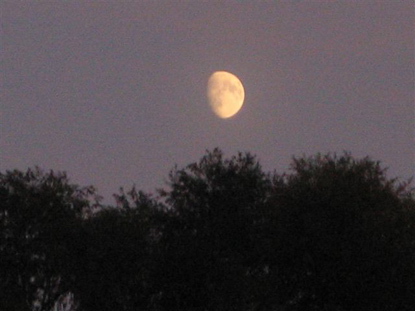 Der Mond - unser Begleiter an der heutigen Nachttour :-)