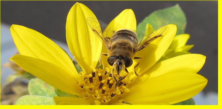 Was f�r eine tolle Frisur da unten