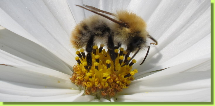 Meinen Fris�r kann ich nur empfehlen