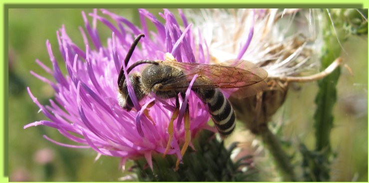 Mmmmm - lecker, lecker