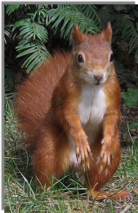 Hat jemand ein N��lein f�r mich �brig?