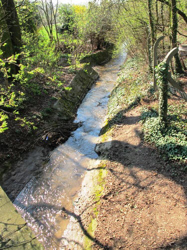Austritt des Wäschbach zur Straße "Zum Friedhof"