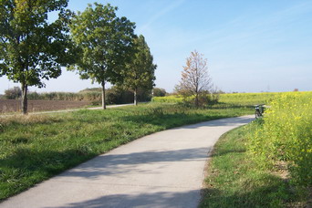 Bereich Hochheim - In der Nhe der A 671.